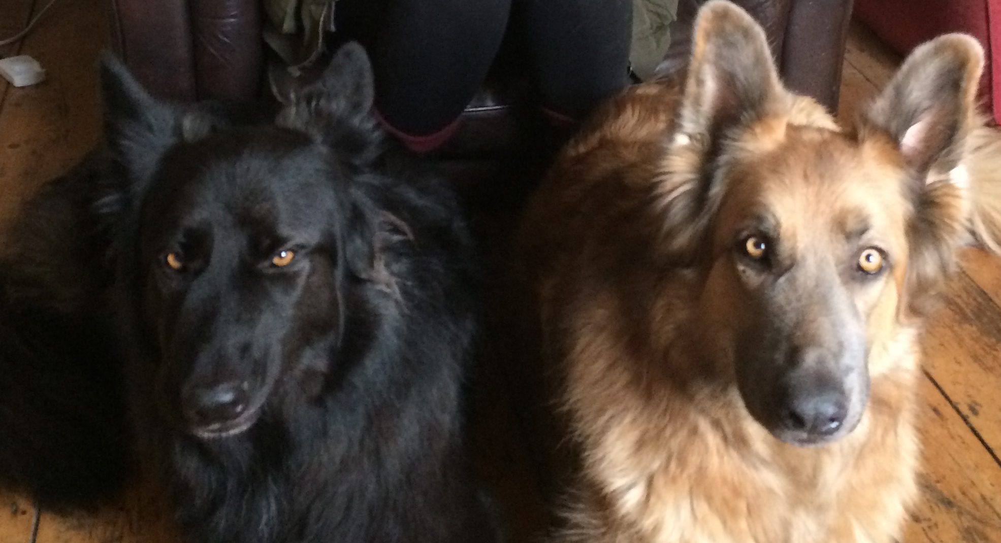 Photo of Lorenzo Garcia