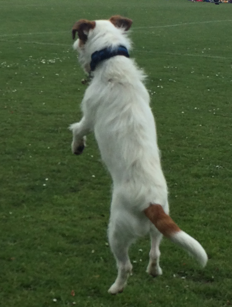 Photo of Riley Rewington