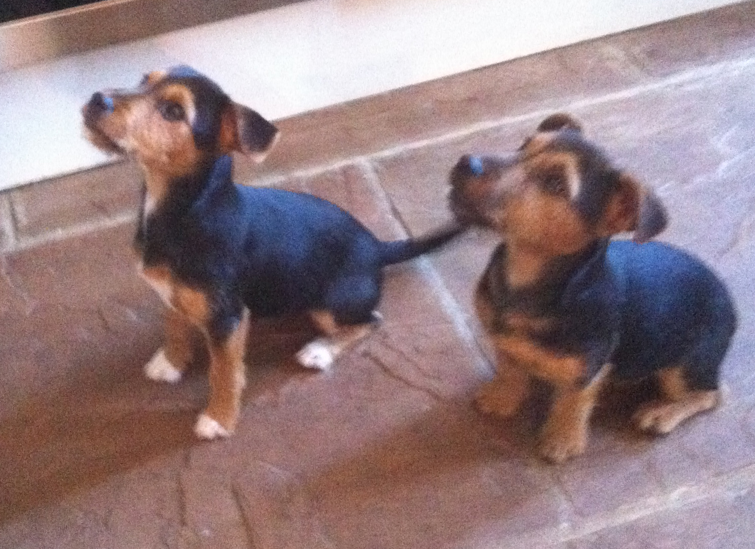 Photo of Hillary Goldwynn